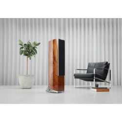 Audiovector R5 Arret�
