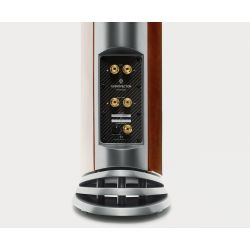 Audiovector R5 Arret�