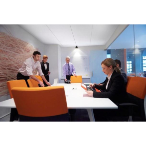 Ecophon Focus� B Hvid akustik loftsplader 60x60x2 cm. 7,2 m2