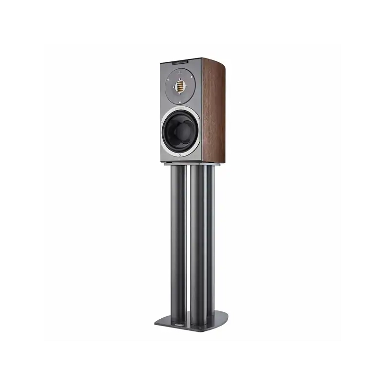 Audiovector R 1 Avantgarde i afrikansk rosentr� Kompakt h�jttaler 1 stk