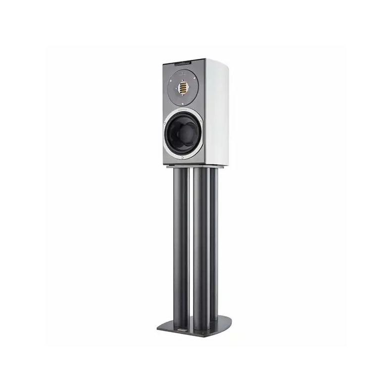 Audiovector R 1 Avantgarde i afrikansk rosentr� Kompakt h�jttaler 1 stk