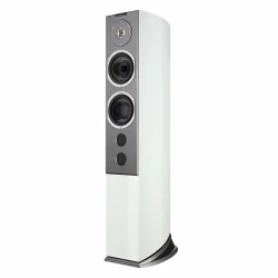 Audiovector R 6 Avantgarde i afrikansk rosentr� Piano Gulvh�jttaler 1 stk