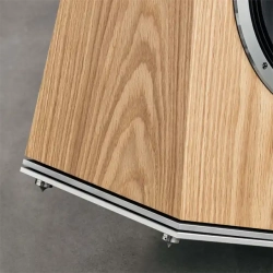 Audiovector Trapeze Ri Black Ash (Sort Ask) Gulvh�jttaler S�t