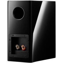 Dynaudio Evoke 10 Blonde Wood Kompakt h�jttalers�t