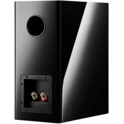 Dynaudio Evoke 20 Blonde Wood Kompakt h�jttalers�t