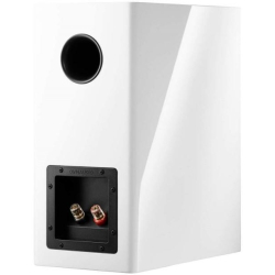 Dynaudio Evoke 20 Blonde Wood Kompakt h�jttalers�t