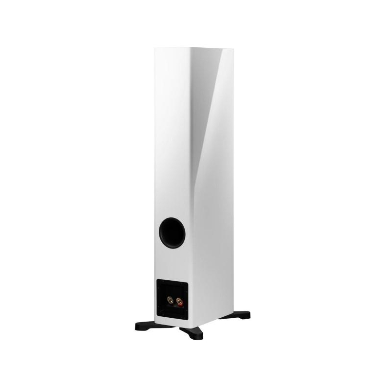 Dynaudio Evoke 30 Blonde Wood Gulvh�jttalers�t