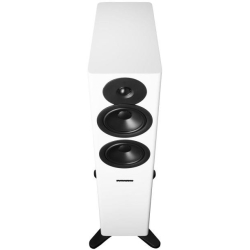 Dynaudio Evoke 30 Blonde Wood Gulvh�jttalers�t