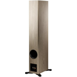 Dynaudio Evoke 50 Blonde Wood Gulvh�jttalers�t