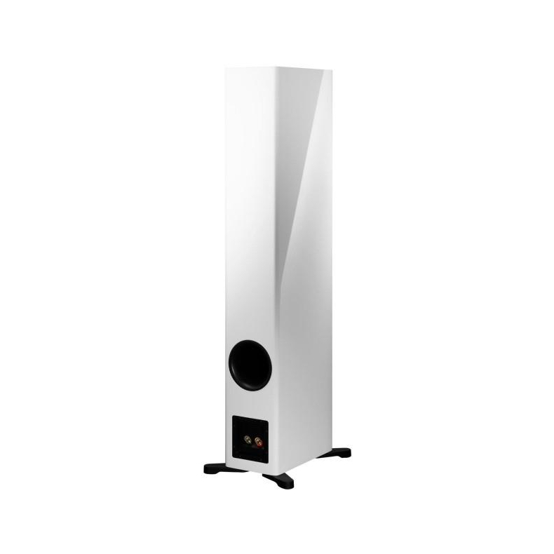 Dynaudio Evoke 50 Blonde Wood Gulvh�jttalers�t