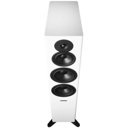 Dynaudio Evoke 50 Blonde Wood Gulvh�jttalers�t