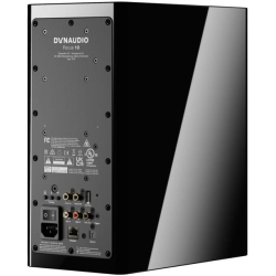 Dynaudio Focus 10 Blonde Wood Aktiv kompakt h�jttalers�t