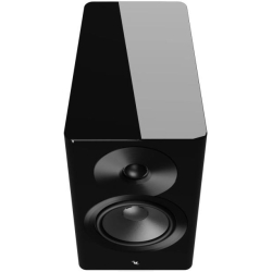 Dynaudio Focus 10 Blonde Wood Aktiv kompakt h�jttalers�t