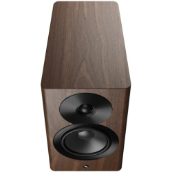 Dynaudio Focus 10 Blonde Wood Aktiv kompakt h�jttalers�t