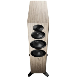Dynaudio Focus 50 Blonde Wood Aktiv gulvh�jttalers�t