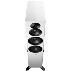 Dynaudio Focus 50 Blonde Wood Aktiv gulvh�jttalers�t