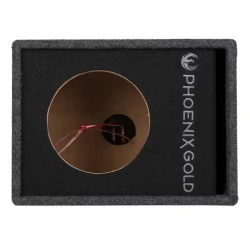Phoenix Gold ZB18P Portet kabinet til 1 x 8" subwoofer enhed til bil
