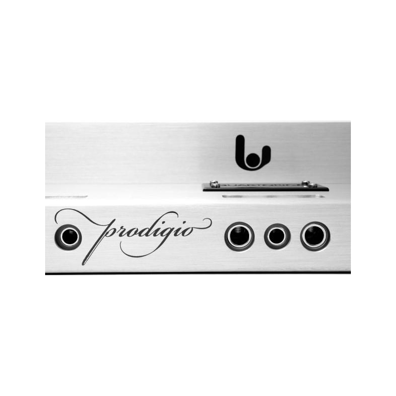 Quartorigo Prodigio 2-kanals forst�rker til bil