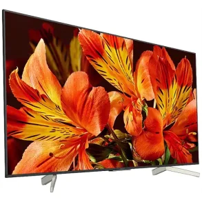 Sony KD-65XF8599 - 65