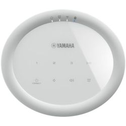 Yamaha MusicCast 20 Smart h�jttaler