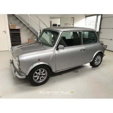 Mini #1
