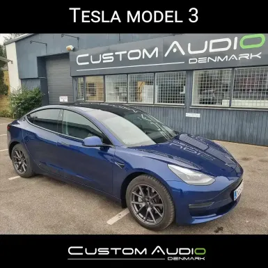 Tesla Model 3 #5