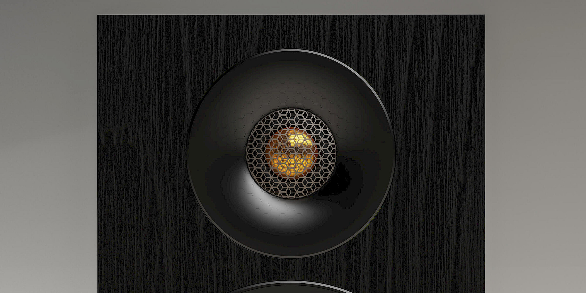 Bronze 7G tweeter detail